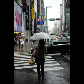 Dom Starołęka – Oaza Spokoju i Historii