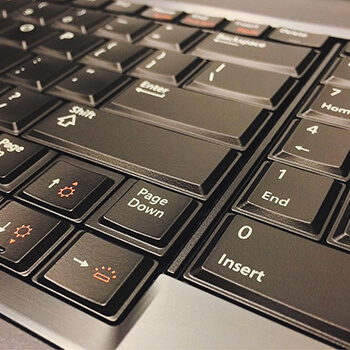 Dom na bagnach - Oaza spokoju w sercu natury